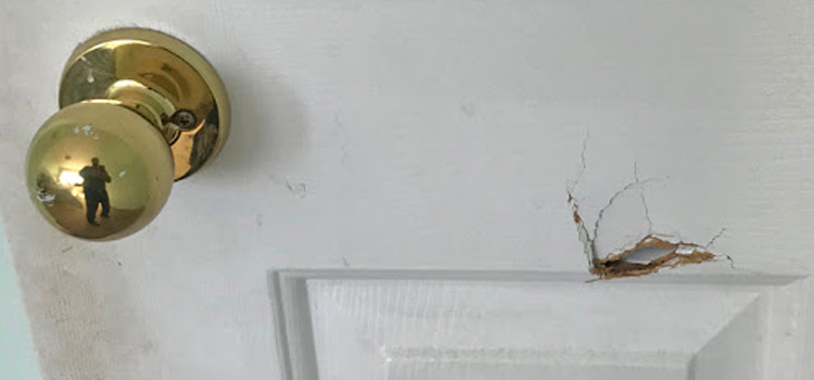 interior door hole repair Lemoore